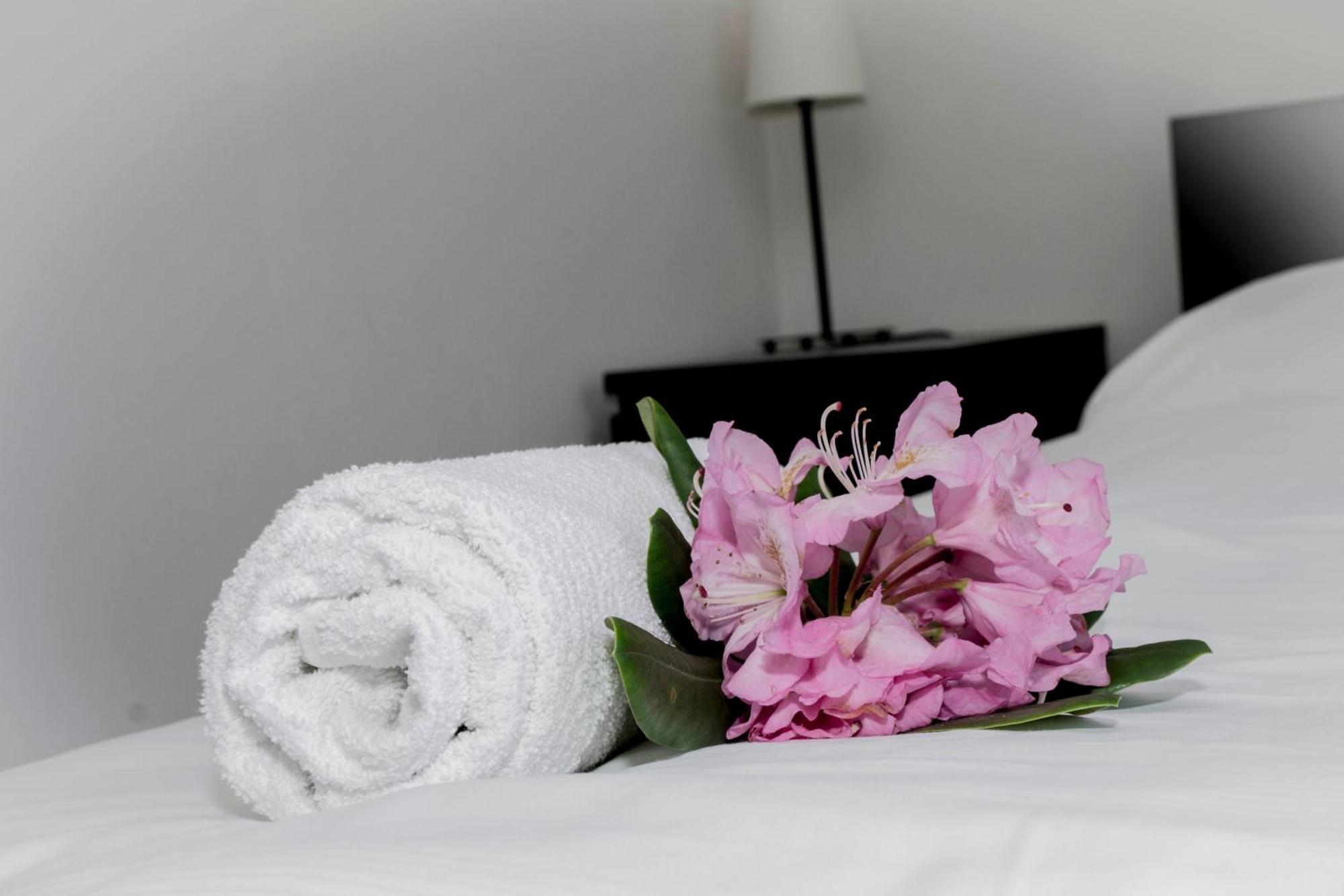 Hotel Sirak Most Pokój zdjęcie